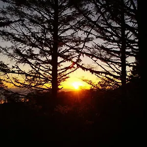 https://pimenta-funchal-downtown.madeira-islandshotels.com